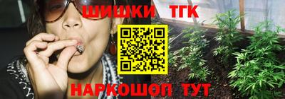 мдпв Новозыбков