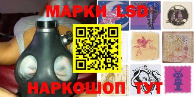 мдпв Новозыбков